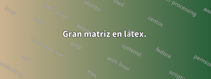 Gran matriz en látex.