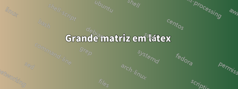 Grande matriz em látex