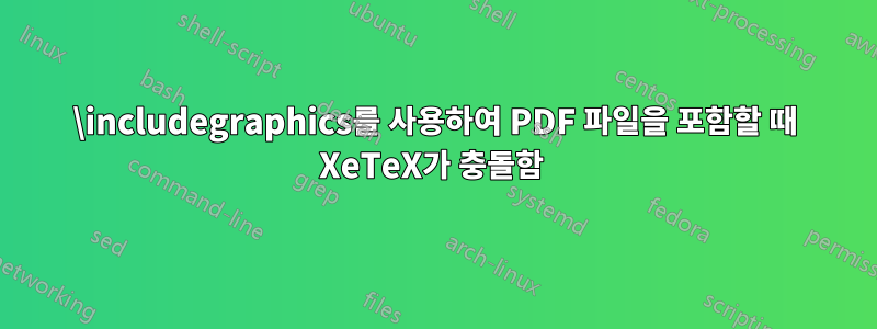 \includegraphics를 사용하여 PDF 파일을 포함할 때 XeTeX가 충돌함 