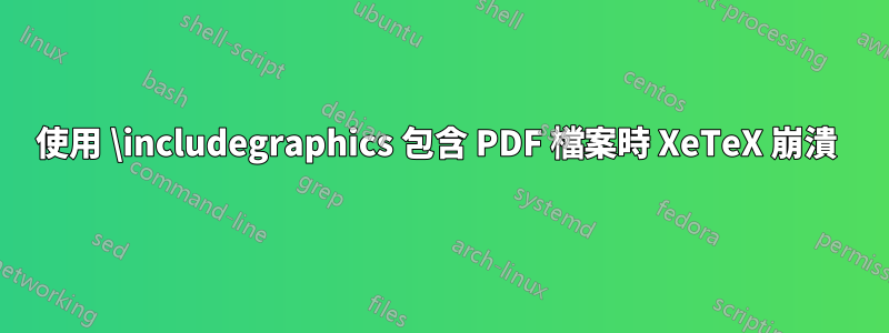 使用 \includegraphics 包含 PDF 檔案時 XeTeX 崩潰 