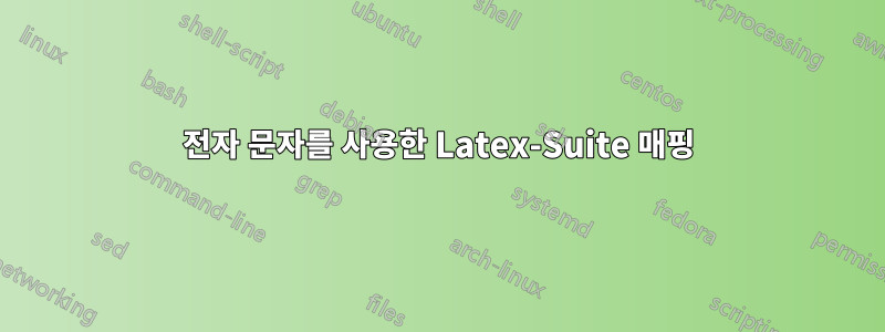 전자 문자를 사용한 Latex-Suite 매핑