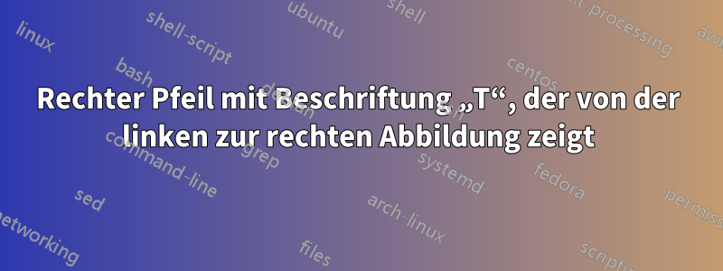 Rechter Pfeil mit Beschriftung „T“, der von der linken zur rechten Abbildung zeigt