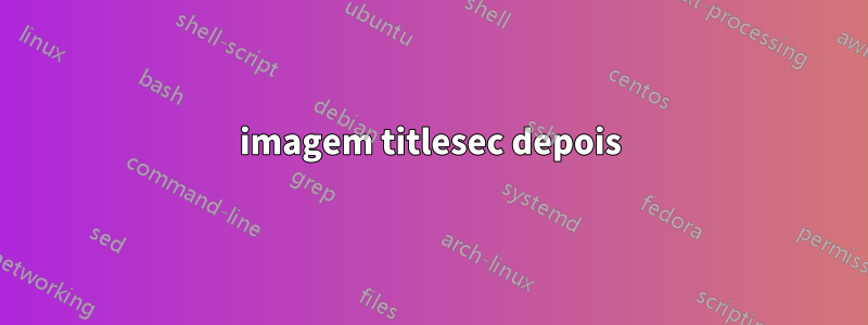 imagem titlesec depois