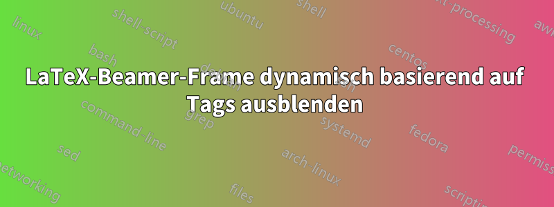 LaTeX-Beamer-Frame dynamisch basierend auf Tags ausblenden