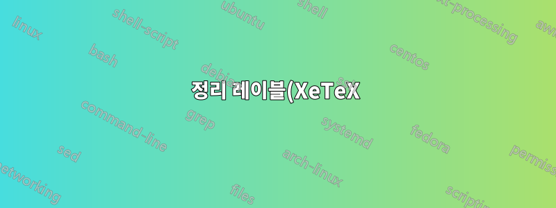 정리 레이블(XeTeX)에 의해 생성된 공간