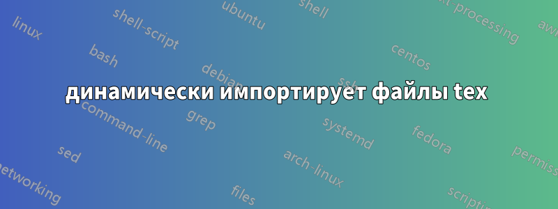 динамически импортирует файлы tex