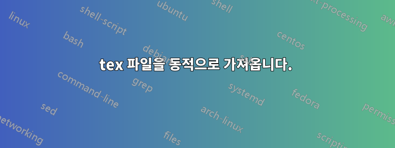 tex 파일을 동적으로 가져옵니다.