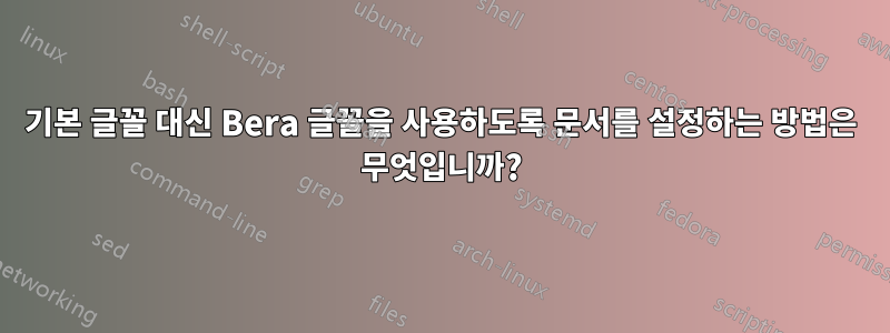 기본 글꼴 대신 Bera 글꼴을 사용하도록 문서를 설정하는 방법은 무엇입니까?