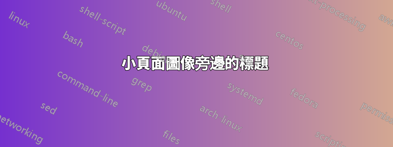 小頁面圖像旁邊的標題