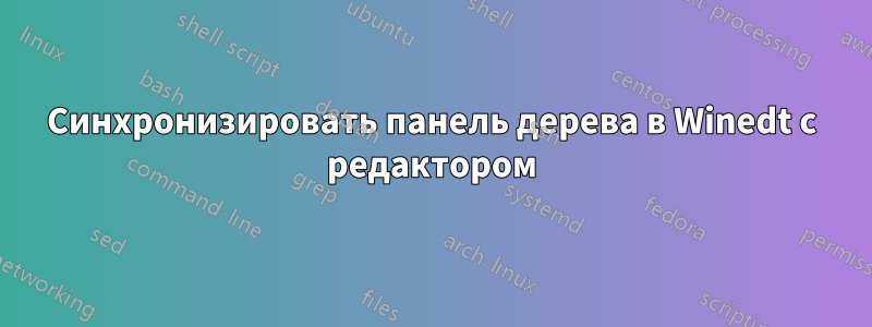 Синхронизировать панель дерева в Winedt с редактором