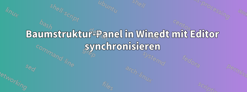 Baumstruktur-Panel in Winedt mit Editor synchronisieren