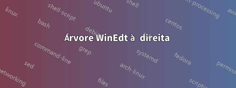 Árvore WinEdt à direita