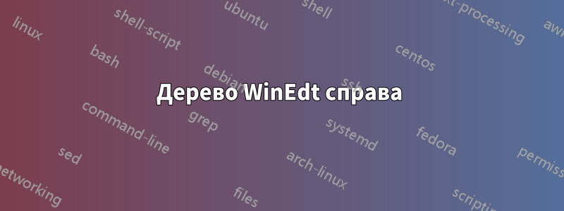 Дерево WinEdt справа