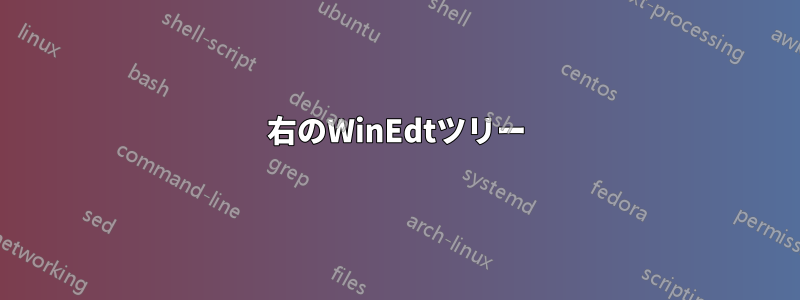 右のWinEdtツリー