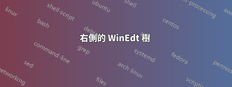 右側的 WinEdt 樹