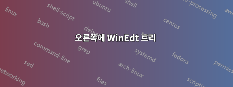 오른쪽에 WinEdt 트리