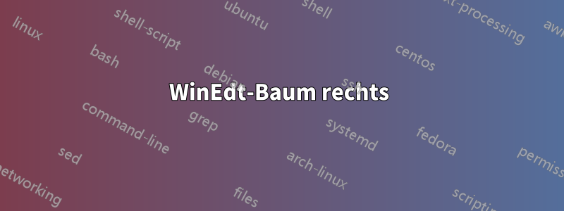 WinEdt-Baum rechts