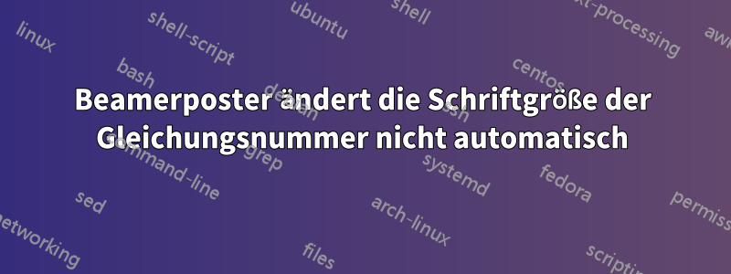 Beamerposter ändert die Schriftgröße der Gleichungsnummer nicht automatisch