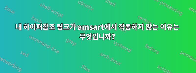 내 하이퍼참조 링크가 amsart에서 작동하지 않는 이유는 무엇입니까?