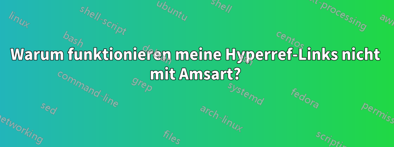 Warum funktionieren meine Hyperref-Links nicht mit Amsart?