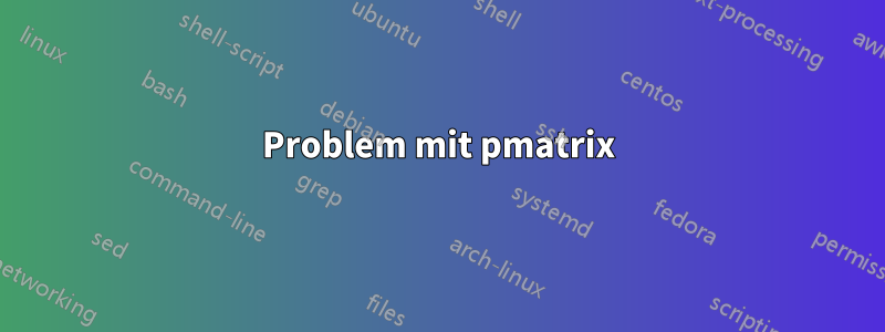 Problem mit pmatrix