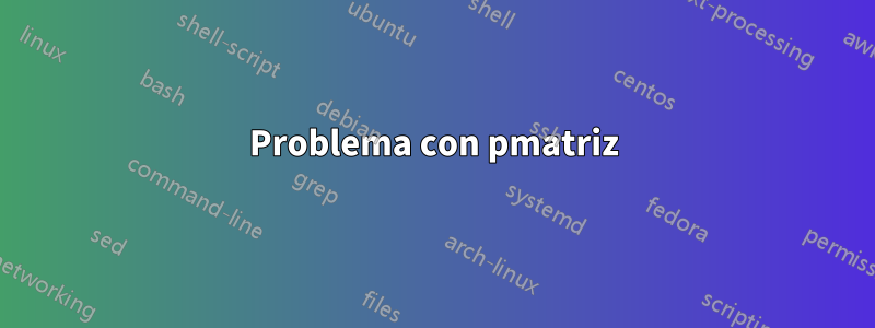 Problema con pmatriz