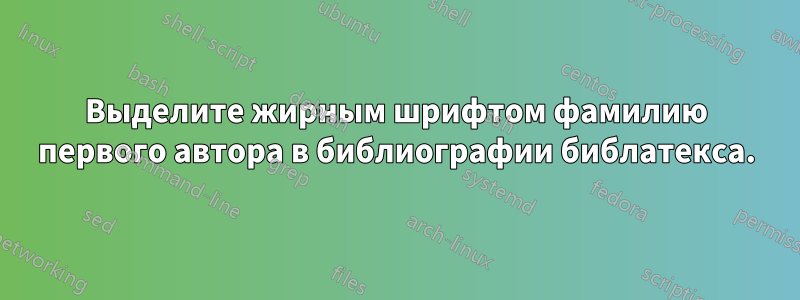 Выделите жирным шрифтом фамилию первого автора в библиографии библатекса.