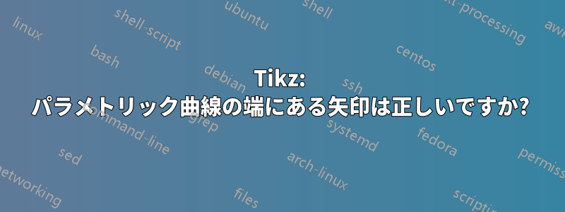 Tikz: パラメトリック曲線の端にある矢印は正しいですか?