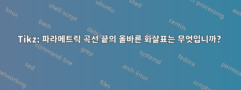 Tikz: 파라메트릭 곡선 끝의 올바른 화살표는 무엇입니까?