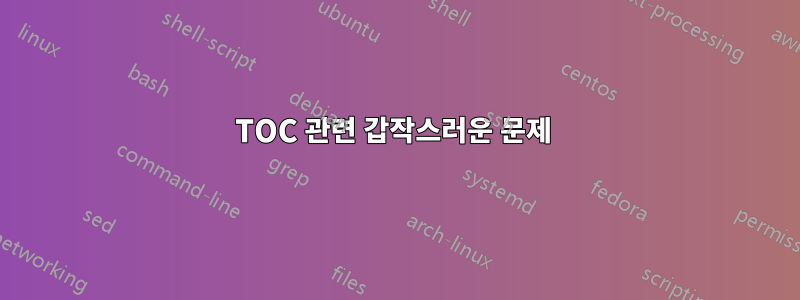 TOC 관련 갑작스러운 문제 