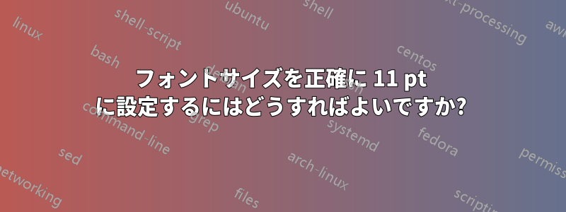 フォントサイズを正確に 11 pt に設定するにはどうすればよいですか?