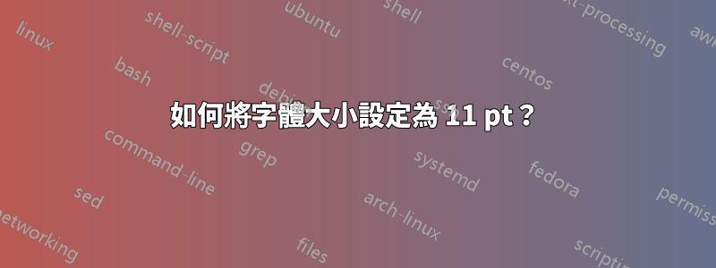 如何將字體大小設定為 11 pt？