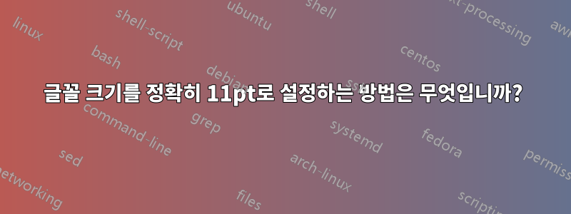 글꼴 크기를 정확히 11pt로 설정하는 방법은 무엇입니까?