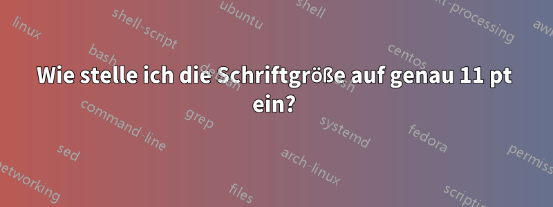 Wie stelle ich die Schriftgröße auf genau 11 pt ein?