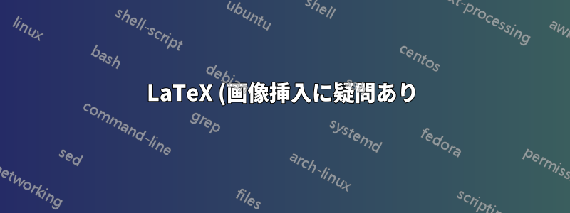 LaTeX (画像挿入に疑問あり)