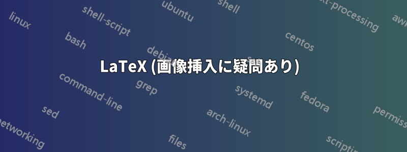 LaTeX (画像挿入に疑問あり) 