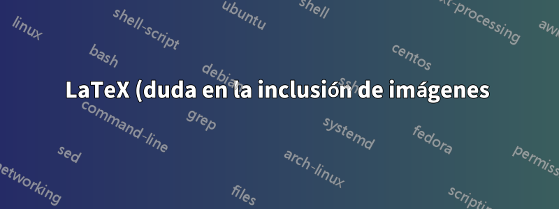 LaTeX (duda en la inclusión de imágenes)