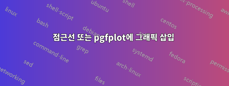 점근선 또는 pgfplot에 그래픽 삽입