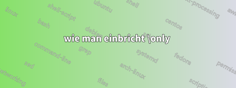 wie man einbricht \only