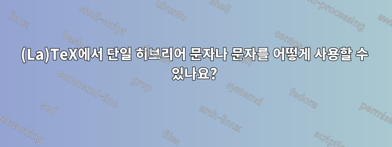 (La)TeX에서 단일 히브리어 문자나 문자를 어떻게 사용할 수 있나요?