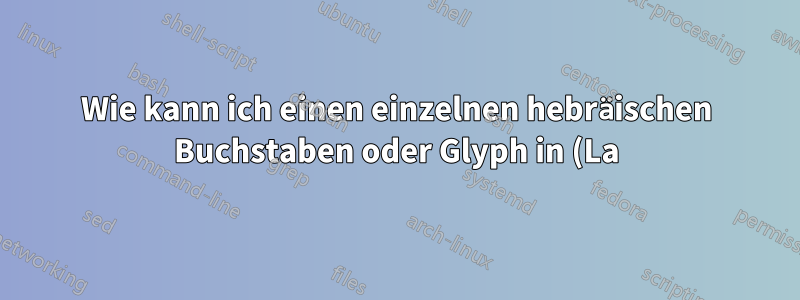Wie kann ich einen einzelnen hebräischen Buchstaben oder Glyph in (La)TeX verwenden?