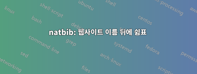 natbib: 웹사이트 이름 뒤에 쉼표