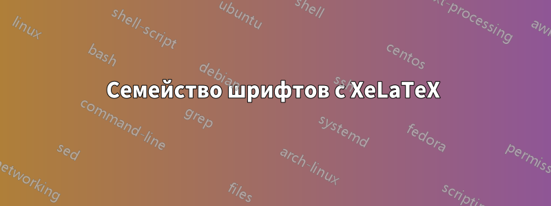 Семейство шрифтов с XeLaTeX