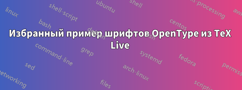 Избранный пример шрифтов OpenType из TeX Live