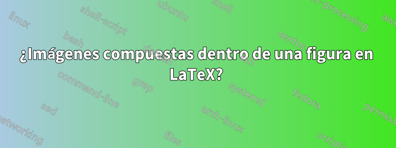 ¿Imágenes compuestas dentro de una figura en LaTeX?