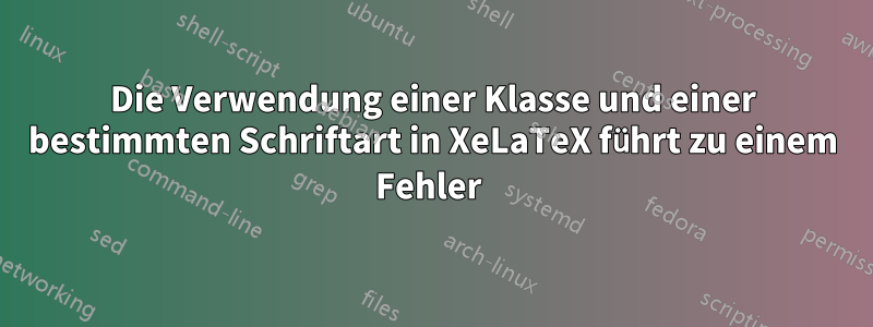 Die Verwendung einer Klasse und einer bestimmten Schriftart in XeLaTeX führt zu einem Fehler 