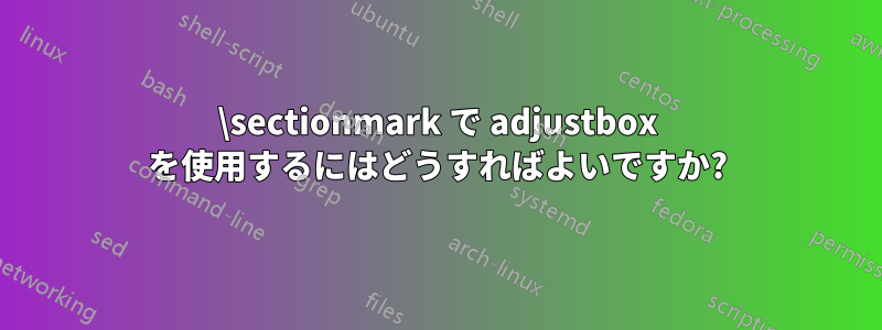 \sectionmark で adjustbox を使用するにはどうすればよいですか?