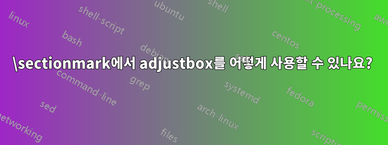 \sectionmark에서 adjustbox를 어떻게 사용할 수 있나요?