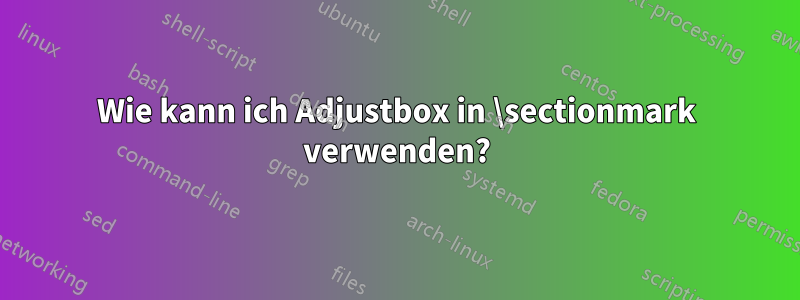 Wie kann ich Adjustbox in \sectionmark verwenden?