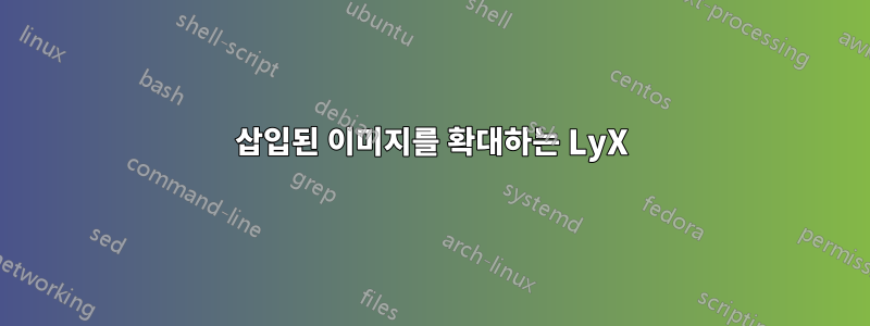 삽입된 이미지를 확대하는 LyX